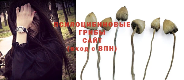 стафф Алексеевка